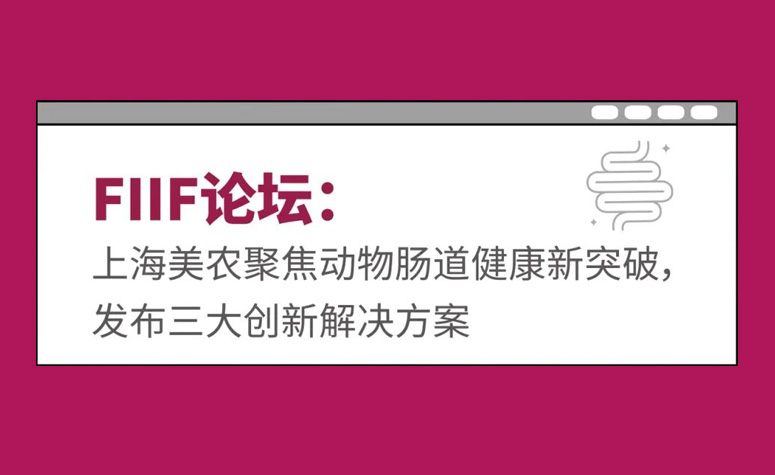 FIIF论坛：上海人生就是搏官网聚焦动物肠道健康新突破，，，颁布三大创新解决规划