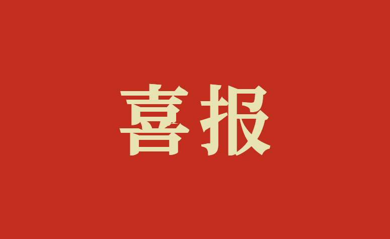 喜报 | 上海人生就是搏官网荣获多项荣誉，广受认可